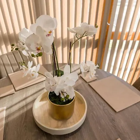 New Ground Floor 2-bedroom Appt * آشبورن